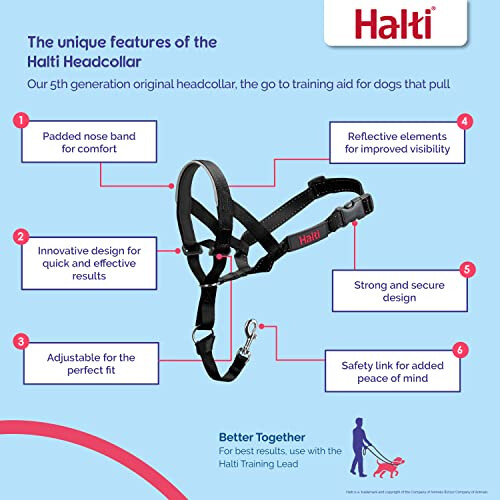 HALTI Headcollar - Stop Pulling - Medium Dogs - Size 2 - Forest Green 1