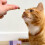Scrumbles Scrumbles Calming Krunchies Cat Treats 2