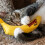 Yeowww Yeowww Banana Singles Cat Toy 7