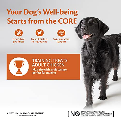 Wellness Core Wellness CORE Training Treats, Chicken & Berries, 170g 1