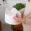 Toddler Essentials Easy Pour Potty - White 5