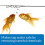 API STRESS COAT Aquarium Water Conditioner 237 ml Bottle 4