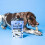 Pooch & Mutt Pooch & Mutt - Cod Hide Chew Treat, 2 pack, 90g 5