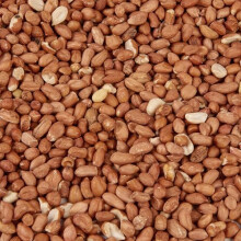Wild Bird Food (1kg, Peanuts)