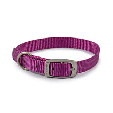 Ancol Viva Comfortable Durable Safe Weatherproof Purple Dogs Buckle Collar 20-26cm, Size 1