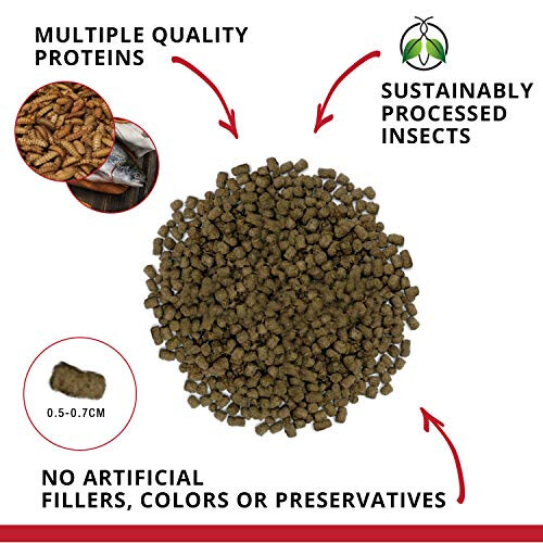 Fluval Fluval Bug Bites Cichlid pellets Fish Food, 100 g 1