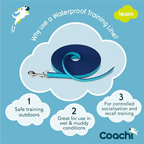 Coachi Training Line 10m, Dog Recall & Socialisation 1