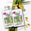Pantene Pantene Grow Strong Shampoo & Conditioner Set, 2x 1L 2