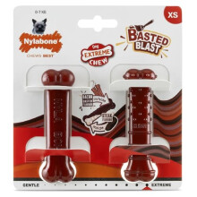 Nylabone 2-Pack Extreme Chew Toy Bone, Bacon/Steak, XS