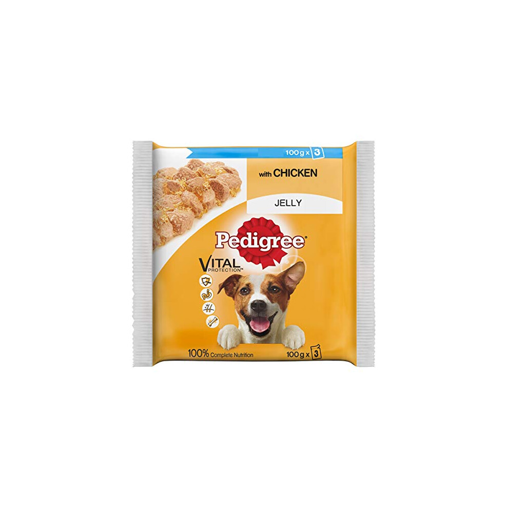 Pedigree Adult Chunks Rich Chicken In Jelly 14 X (3 X 100 G)
