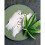 NIVEA NIVEA MEN Sensitive Pro Calming Cream, 75ml, Hemp Seed Oil 3