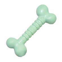 Rosewood Small Mint Bone – Durable Nylon Chew Toy for Small Dogs