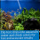 API AMMONIA TEST STRIPS Freshwater and Saltwater Aquarium Water Test Strips 25-Test Box 5