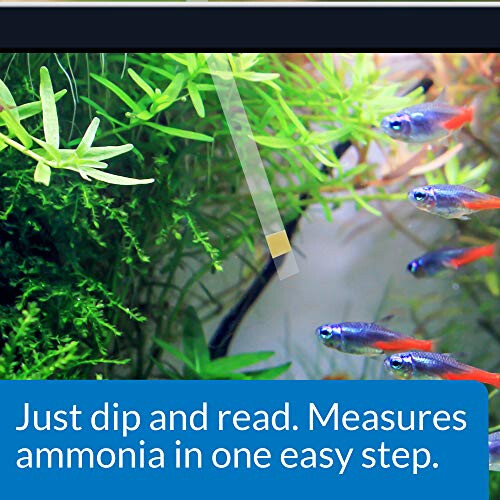 API AMMONIA TEST STRIPS Freshwater and Saltwater Aquarium Water Test Strips 25-Test Box 2
