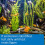 API AMMONIA TEST STRIPS Freshwater and Saltwater Aquarium Water Test Strips 25-Test Box 4