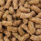 Supreme Science Selective Hamster Food 350g 5