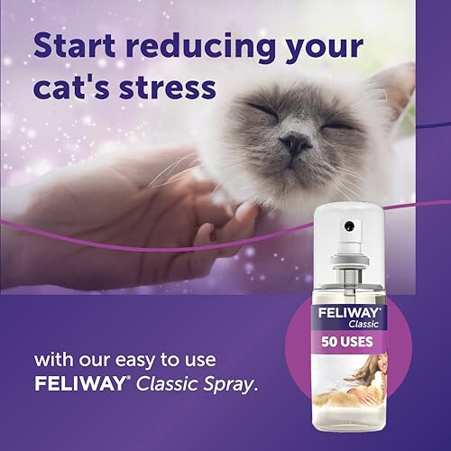 Feliway FELIWAY Classic Cat Calming Spray, 60ml 2