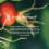 Fushi Organic Rosehip Seed Oil 100 ml, Vitamin E 7
