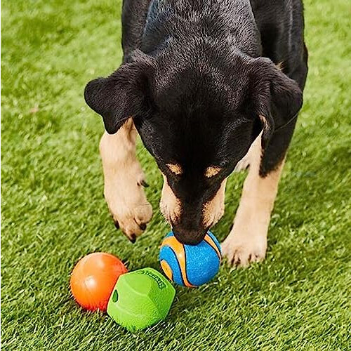 Chuckit! ChuckIt! Fetch Rubber Dog Ball Medley, Medium, 3 Pack 1