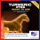 Equine America Turmeric Xtra 3KG 2