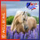 Equine America Turmeric Xtra 3KG 6