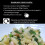 Garofalo Elbow Macaroni 500 gram 6
