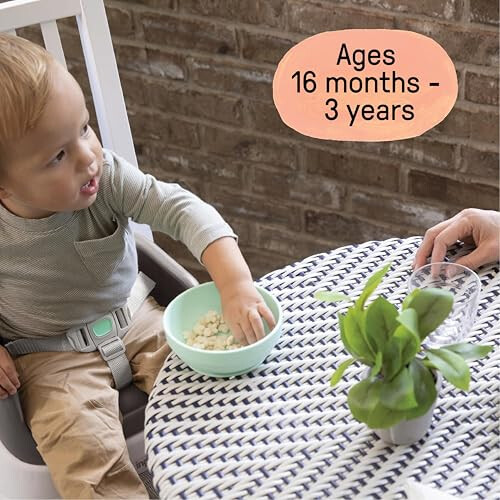 Ingenuity Ingenuity SmartClean Booster Seat, Slate, Easy Clean, 16mo+ 2