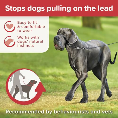 Beaphar Beaphar Gentle Leader Head Collar - Large Dogs, Stops Pulling - Black 2