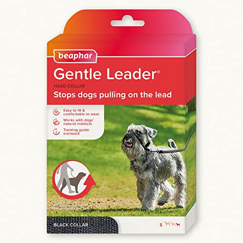 Beaphar Beaphar Gentle Leader Head Collar, Small Dogs, Stops Pulling