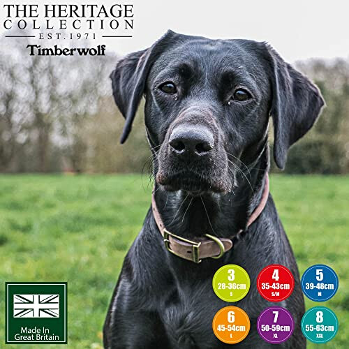 Ancol Ancol Timberwolf Bonded Thread Leather Sable Round Collar Pet Training Accessory 55-63 cm, Size 8 1