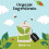 Clipper Clipper Organic Everyday Teabags (480 Bags) - Biodegradable 3
