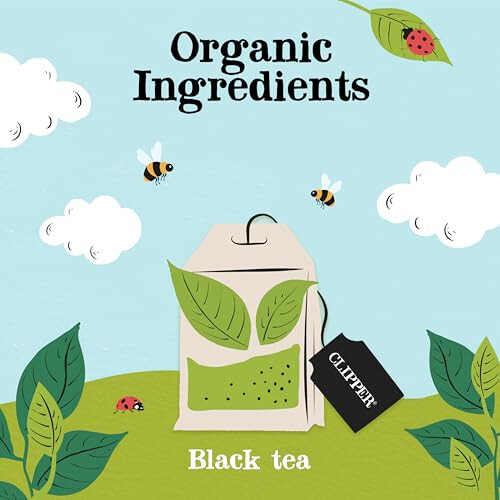 Clipper Clipper Organic Everyday Teabags (480 Bags) - Biodegradable 2