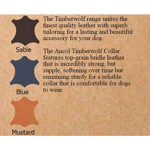 Ancol Ancol Timberwolf Bonded Thread Leather Sable Round Collar Pet Training Accessory 45-54 cm, Size 6 2