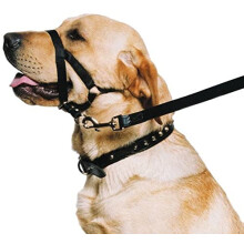 Ancol Weatherproof Nylon Black Training Halter Head Collar Animal Pet Training Accessory, Xlarge
