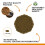 Fluval Fluval Bug Bites Goldfish Granule Fish Food 45g 2