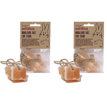 Rosewood Naturals Himalayan Salt Lick Stone, Small Animal Mineral Stone for Rabbits, Guinea Pigs and Hamsters, (Pack of 2)