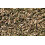 Blazers Kitten Friendly Cat Litter, Beige, 10L 2
