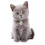 Blazers Kitten Friendly Cat Litter, Beige, 10L 3