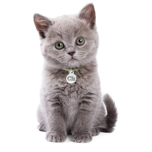 Blazers Kitten Friendly Cat Litter, Beige, 10L 2