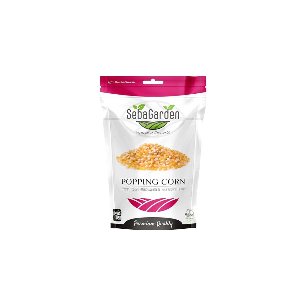 Seba Garden Popcorn Kernels 1 Kg - Gluten-Free, Vegetarian
