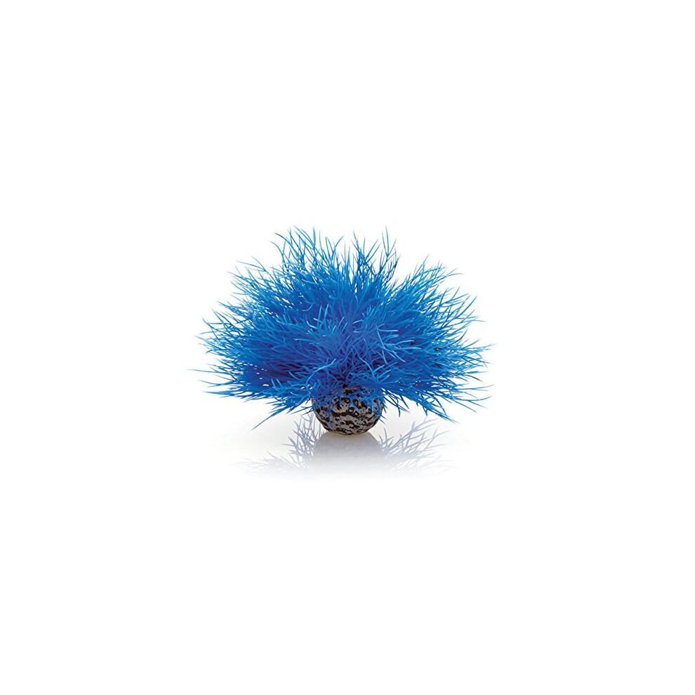 Biorb Aquatic Sea Lily Plant - Aquarium Plant Blue
