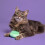Tangle Teezer Pet Teezer - Cat Brush 3