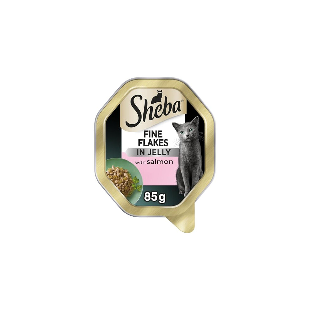 Photos - Cat Food Sheba Fine Flakes  Tray with Salmon in Jelly 2x11x85g 