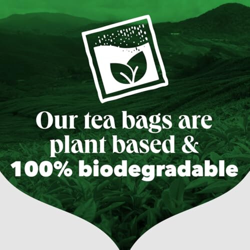 PG Tips PG Tips Decaf Black Tea Bags, 420 Count 2