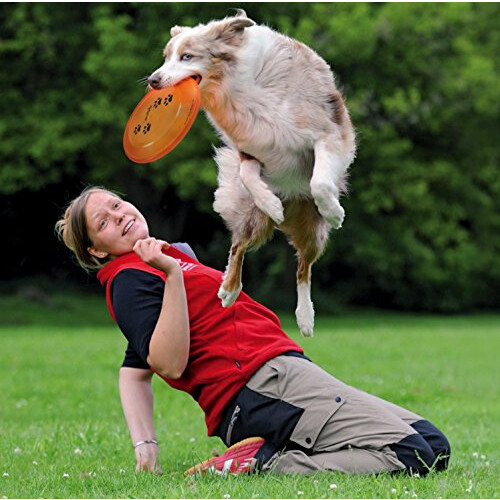 Trixie Trixie Dog Activity Dog Disc Bite-Proof, 23 cm- Random 2