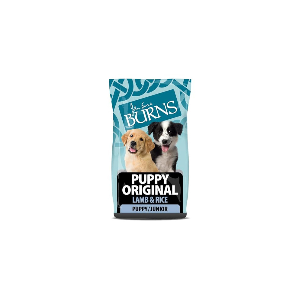 Burns Pet Nutrition Hypoallergenic Complete Dry Dog Food Puppy Original Lamb And Rice 2 Kg