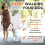 Canny Collar No-Pull Dog Headcollar, Gentle Training Aid 4