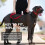 Canny Collar No-Pull Dog Headcollar, Gentle Training Aid 6