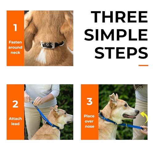 Canny Collar No-Pull Dog Headcollar, Gentle Training Aid 1