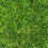 (4m, 4m) Pebble Beach 35mm Artificial Grass 5